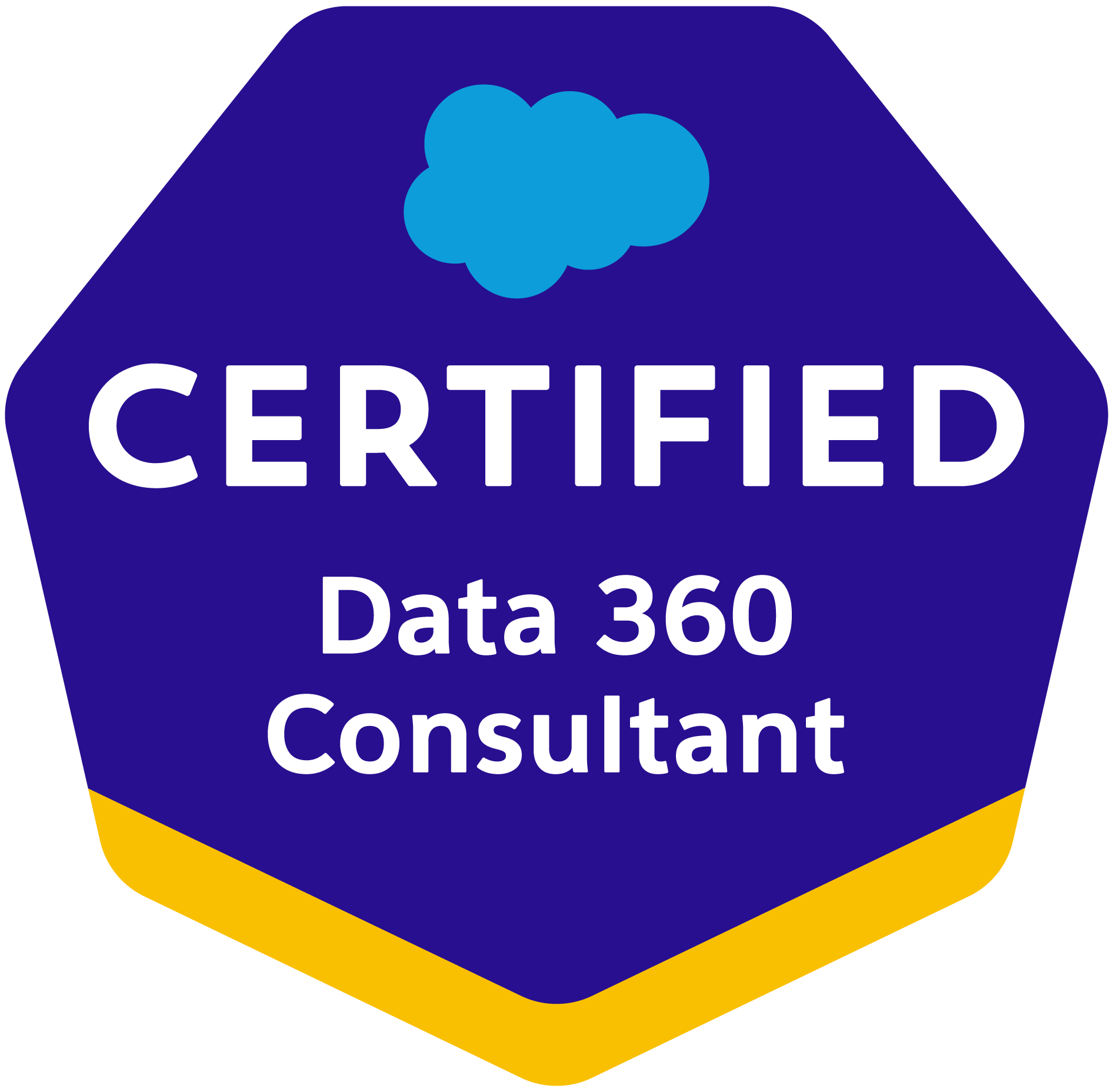 Salesforce Data 360 Consultant